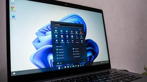 OXEN_Windows__1772724060933