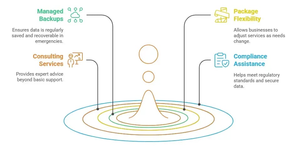 Managed Services Selection Criteria